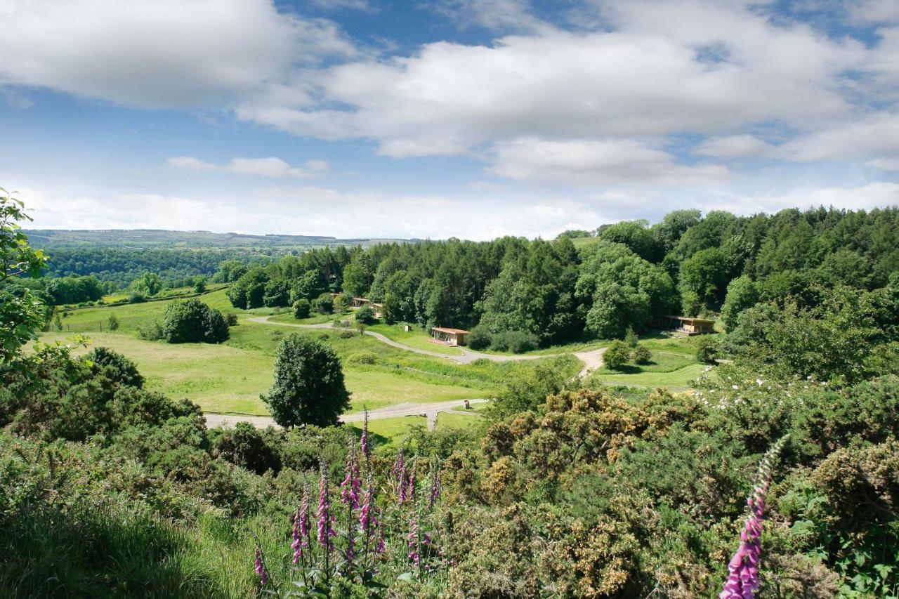 Yorkshire Dales Lodge 10 Ensuite 리치먼드 외부 사진